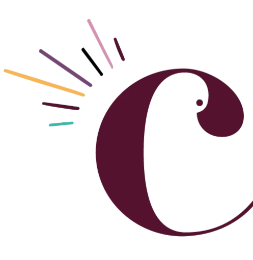 Logo Capture ton Business